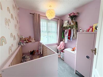Picture 14
